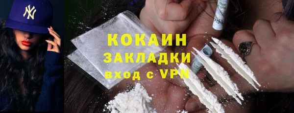 ECSTASY Бородино