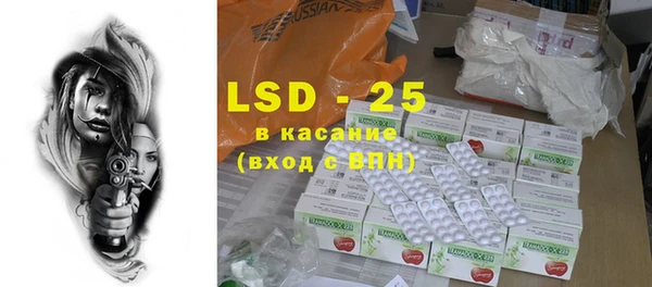 ECSTASY Бородино
