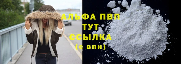 ECSTASY Бородино