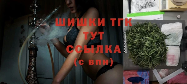 ECSTASY Бородино