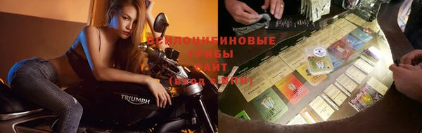 МДПВ Бронницы