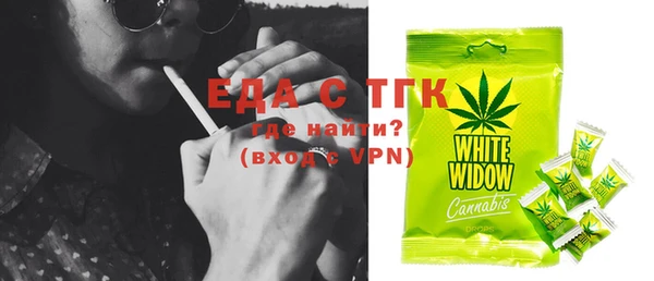 ECSTASY Бородино