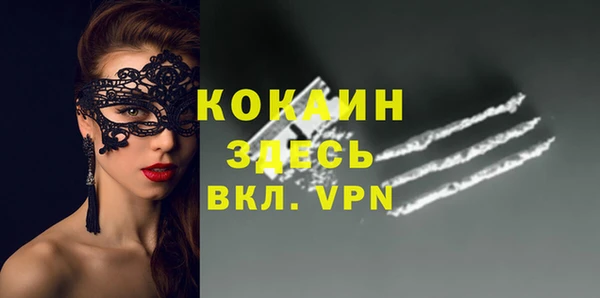 ECSTASY Бородино