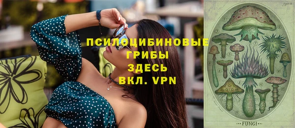 ECSTASY Бородино