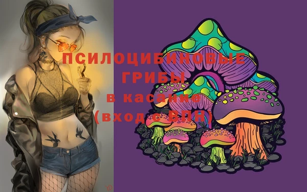 ECSTASY Бородино