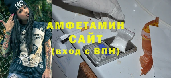ECSTASY Бородино