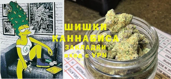 МДПВ Бронницы