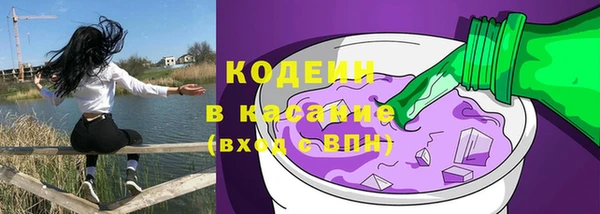 ECSTASY Бородино